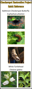 Checkerspot quick reference-singlepanel